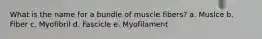 What is the name for a bundle of muscle fibers? a. Muslce b. Fiber c. Myofibril d. Fascicle e. Myofilament