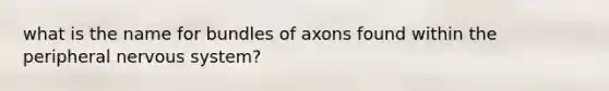 what is the name for bundles of axons found within the peripheral <a href='https://www.questionai.com/knowledge/kThdVqrsqy-nervous-system' class='anchor-knowledge'>nervous system</a>?