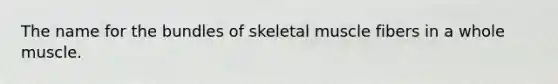 The name for the bundles of skeletal muscle fibers in a whole muscle.