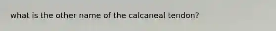 what is the other name of the calcaneal tendon?