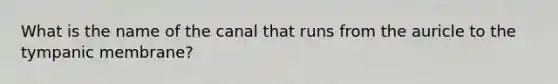 What is the name of the canal that runs from the auricle to the tympanic membrane?