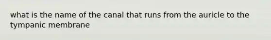 what is the name of the canal that runs from the auricle to the tympanic membrane