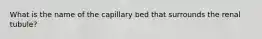 What is the name of the capillary bed that surrounds the renal tubule?