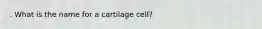 . What is the name for a cartilage cell?