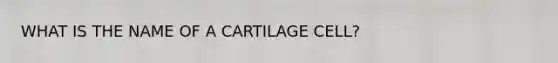 WHAT IS THE NAME OF A CARTILAGE CELL?