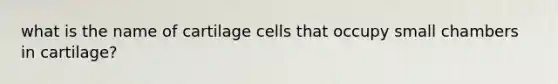 what is the name of cartilage cells that occupy small chambers in cartilage?