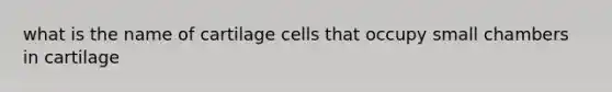 what is the name of cartilage cells that occupy small chambers in cartilage