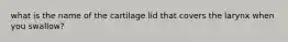 what is the name of the cartilage lid that covers the larynx when you swallow?