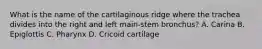 What is the name of the cartilaginous ridge where the trachea divides into the right and left main-stem bronchus? A. Carina B. Epiglottis C. Pharynx D. Cricoid cartilage