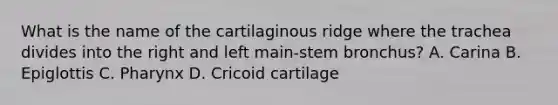 What is the name of the cartilaginous ridge where the trachea divides into the right and left main-stem bronchus? A. Carina B. Epiglottis C. Pharynx D. Cricoid cartilage