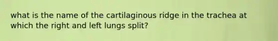 what is the name of the cartilaginous ridge in the trachea at which the right and left lungs split?