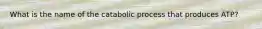 What is the name of the catabolic process that produces ATP?