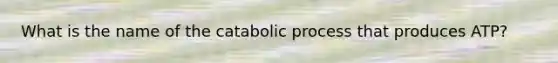 What is the name of the catabolic process that produces ATP?