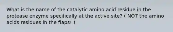 What is the name of the catalytic amino acid residue in the protease enzyme specifically at the active site? ( NOT the <a href='https://www.questionai.com/knowledge/k9gb720LCl-amino-acids' class='anchor-knowledge'>amino acids</a> residues in the flaps! )