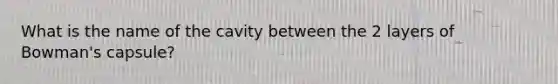 What is the name of the cavity between the 2 layers of Bowman's capsule?