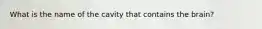 What is the name of the cavity that contains the brain?