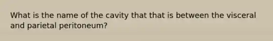 What is the name of the cavity that that is between the visceral and parietal peritoneum?