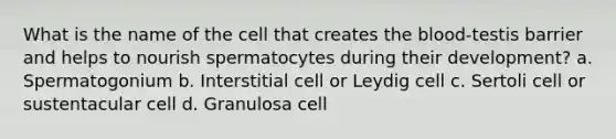 What is the name of the cell that creates <a href='https://www.questionai.com/knowledge/k7oXMfj7lk-the-blood' class='anchor-knowledge'>the blood</a>-testis barrier and helps to nourish spermatocytes during their development? a. Spermatogonium b. Interstitial cell or Leydig cell c. Sertoli cell or sustentacular cell d. Granulosa cell