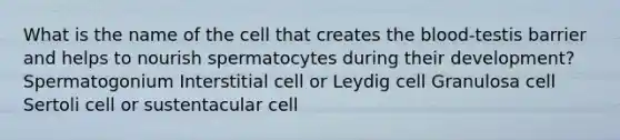 What is the name of the cell that creates the blood-testis barrier and helps to nourish spermatocytes during their development? Spermatogonium Interstitial cell or Leydig cell Granulosa cell Sertoli cell or sustentacular cell