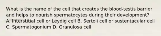 What is the name of the cell that creates the blood-testis barrier and helps to nourish spermatocytes during their development? A. Interstitial cell or Leydig cell B. Sertoli cell or sustentacular cell C. Spermatogonium D. Granulosa cell