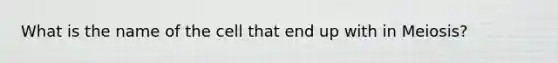 What is the name of the cell that end up with in Meiosis?