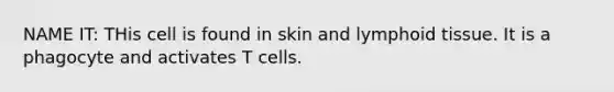 NAME IT: THis cell is found in skin and lymphoid tissue. It is a phagocyte and activates T cells.