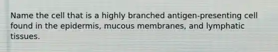 Name the cell that is a highly branched antigen-presenting cell found in the epidermis, mucous membranes, and lymphatic tissues.