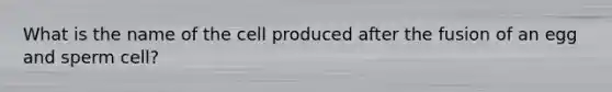 What is the name of the cell produced after the fusion of an egg and sperm cell?