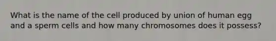 What is the name of the cell produced by union of human egg and a sperm cells and how many chromosomes does it possess?