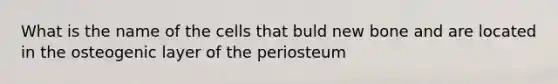 What is the name of the cells that buld new bone and are located in the osteogenic layer of the periosteum