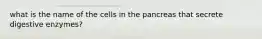 what is the name of the cells in the pancreas that secrete digestive enzymes?