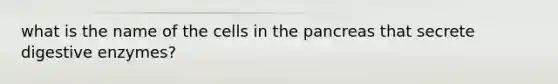 what is the name of the cells in the pancreas that secrete digestive enzymes?