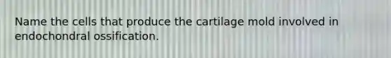 Name the cells that produce the cartilage mold involved in endochondral ossification.