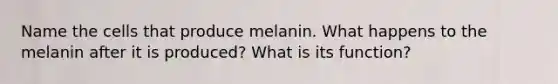 Name the cells that produce melanin. What happens to the melanin after it is produced? What is its function?