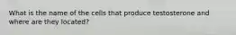 What is the name of the cells that produce testosterone and where are they located?