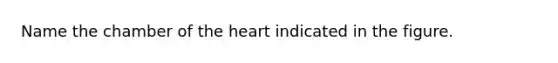 Name the chamber of the heart indicated in the figure.