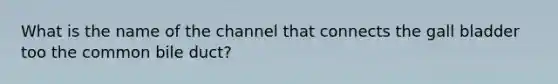 What is the name of the channel that connects the gall bladder too the common bile duct?