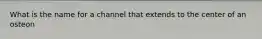 What is the name for a channel that extends to the center of an osteon