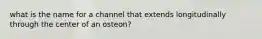 what is the name for a channel that extends longitudinally through the center of an osteon?