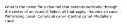 What is the name for a channel that extends vertically through the center of an osteon? Select all that apply. -Harversian canal -Perforating canal -Canaliculi canal -Central canal -Medullary canal