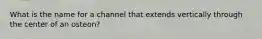 What is the name for a channel that extends vertically through the center of an osteon?