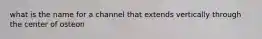 what is the name for a channel that extends vertically through the center of osteon