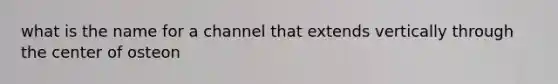 what is the name for a channel that extends vertically through the center of osteon