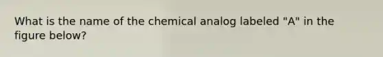 What is the name of the chemical analog labeled "A" in the figure below?