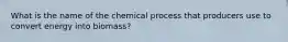 What is the name of the chemical process that producers use to convert energy into biomass?