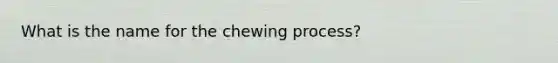 What is the name for the chewing process?