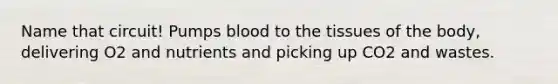 Name that circuit! Pumps blood to the tissues of the body, delivering O2 and nutrients and picking up CO2 and wastes.