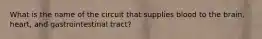 What is the name of the circuit that supplies blood to the brain, heart, and gastrointestinal tract?