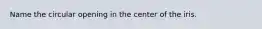 Name the circular opening in the center of the iris.