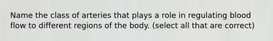 Name the class of arteries that plays a role in regulating blood flow to different regions of the body. (select all that are correct)